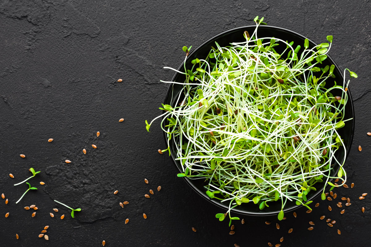 Sprouting 101