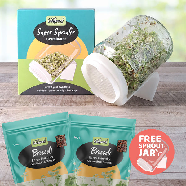 Broccoli Sprout Kit with FREE JAR