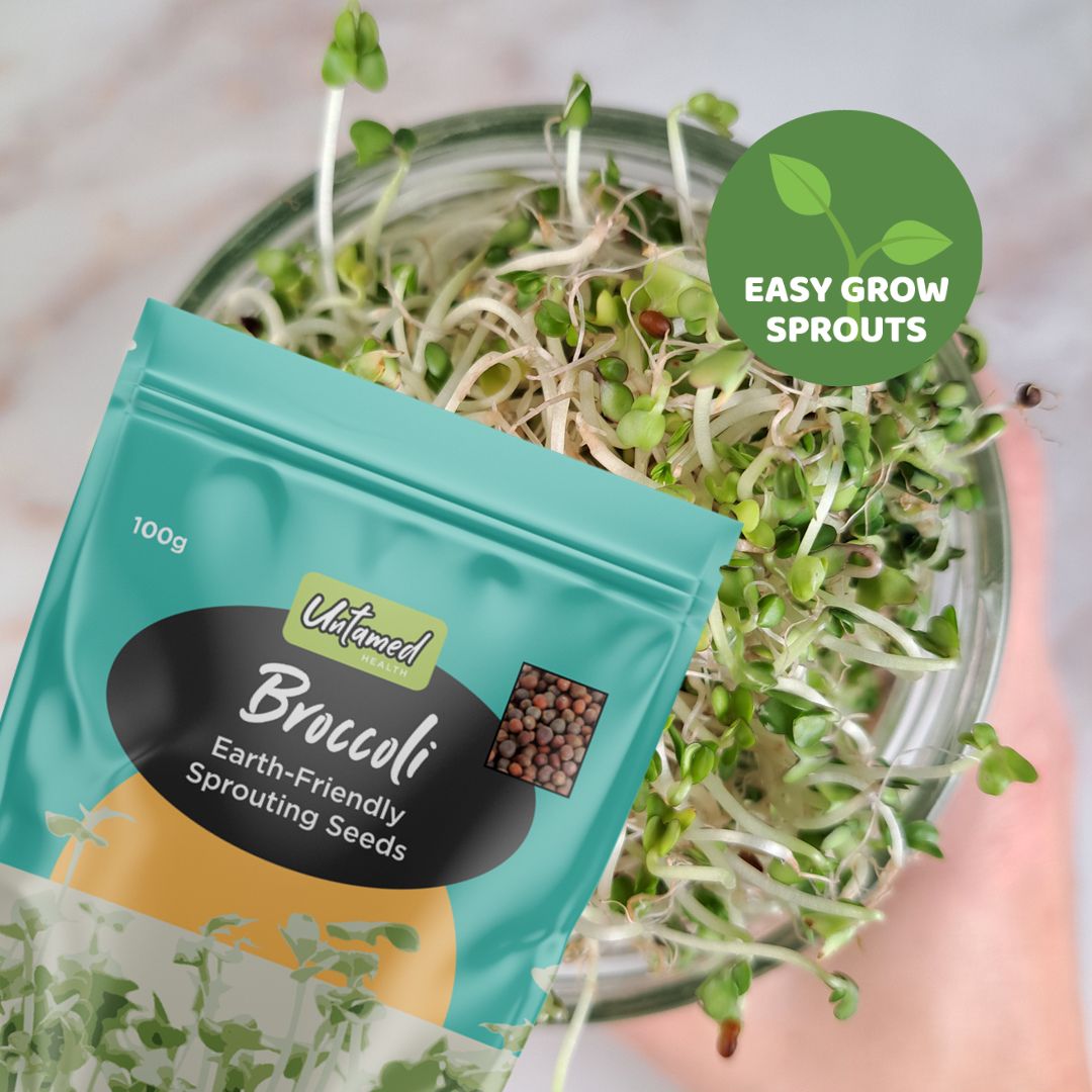 Broccoli Sprout Kit with FREE JAR