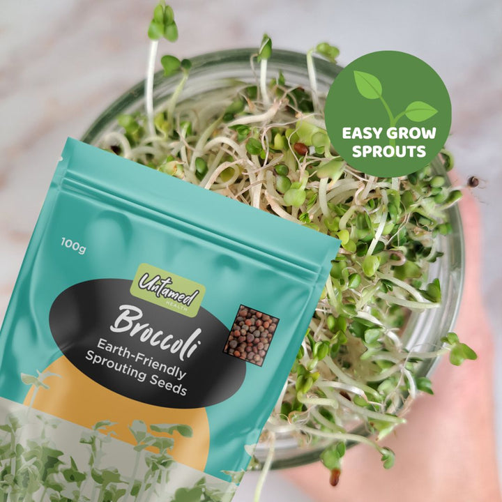 Broccoli Sprout Kit with FREE JAR