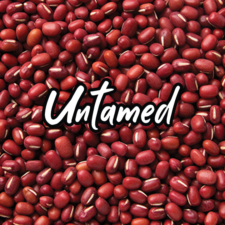 Bulk Adzuki Beans Sprouting Seeds