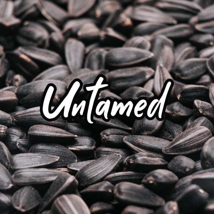 Buy Bulk Black Sprouting Seeds