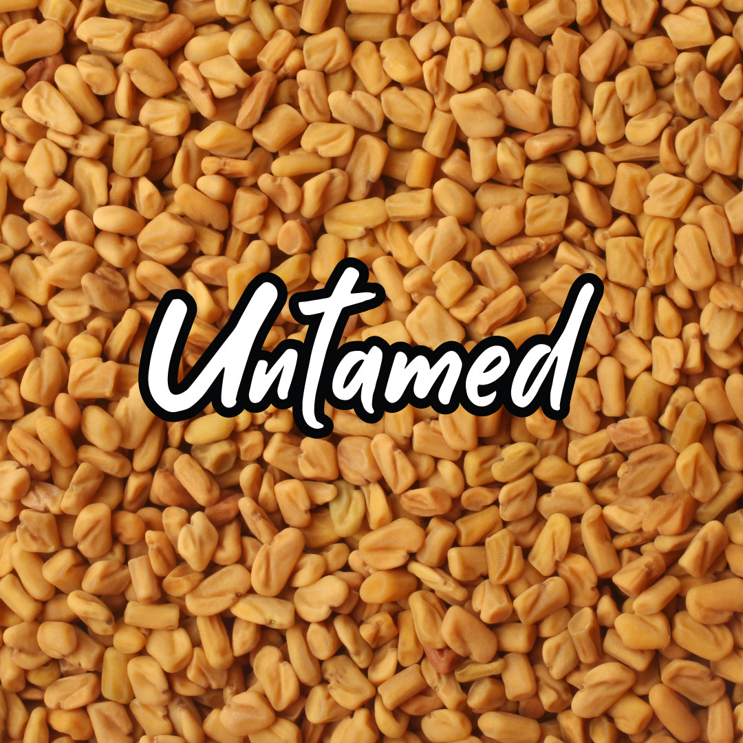 Bulk Fenugreek Sprouting Seeds