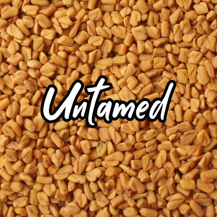 Bulk Fenugreek Sprouting Seeds
