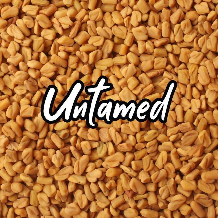 Fenugreek Sprouting Seeds