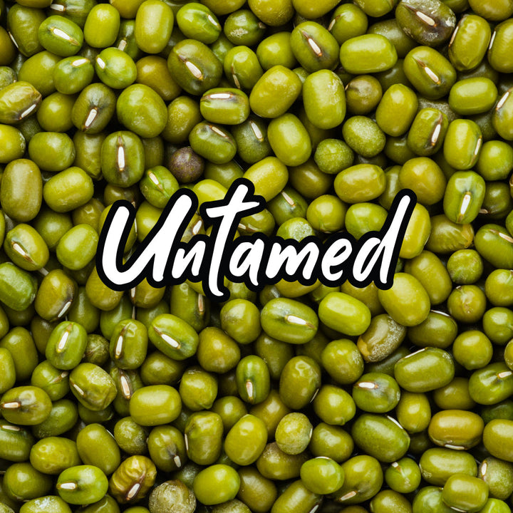 Mung Beans Sprouting Seeds
