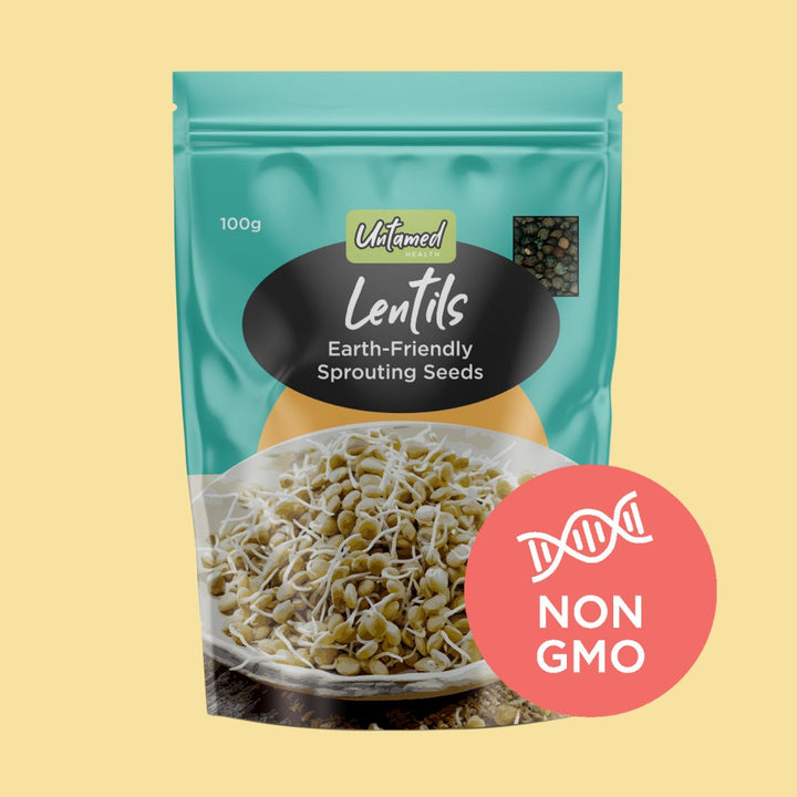 Lentil Sprouting Seeds