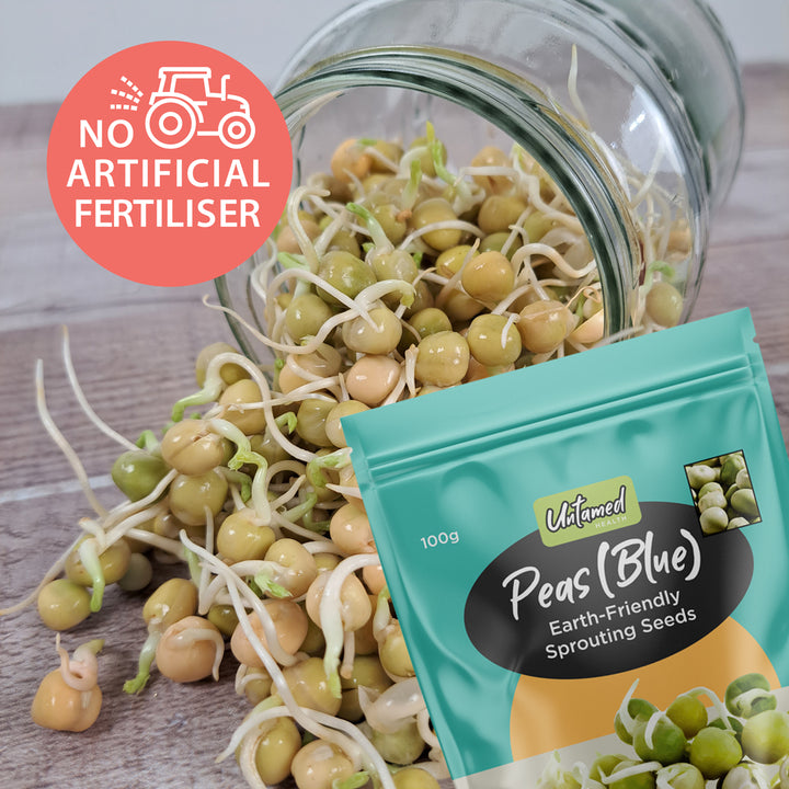 Peas (Blue) Sprouting Seeds – Untamed Health
