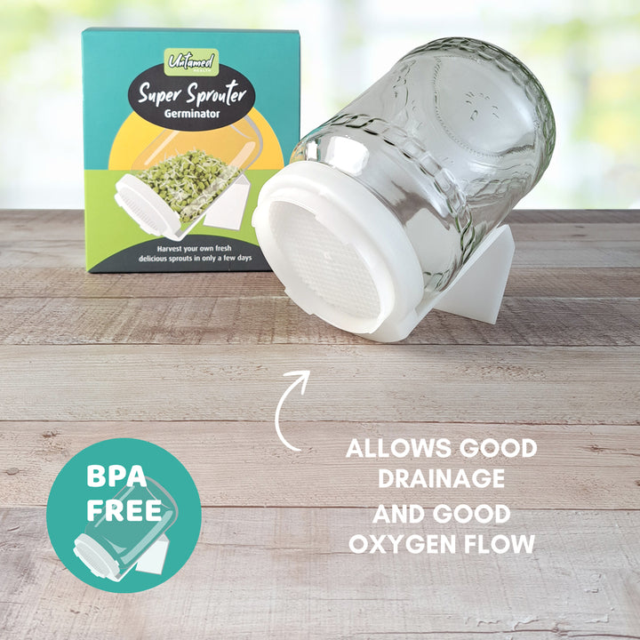 Super Sprouter Germinator Glass Jar
