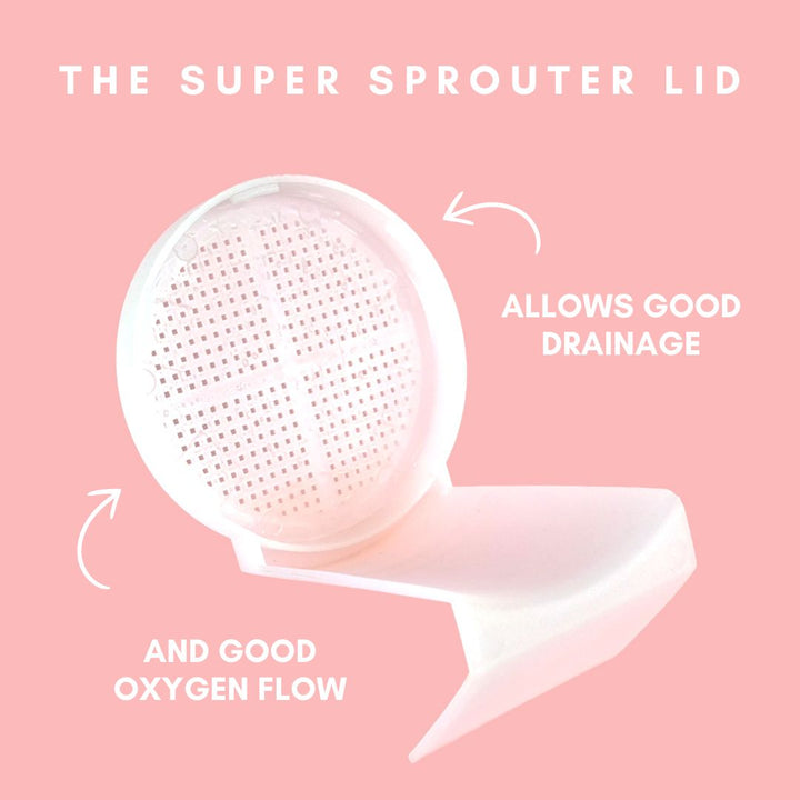 Super Sprouter Germinator Glass Jar