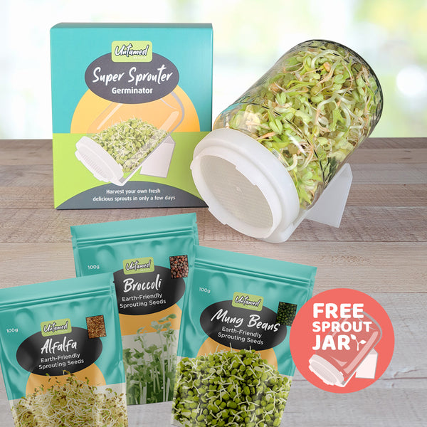 Beginner Sprout Seed Kit with FREE Sprout Jar