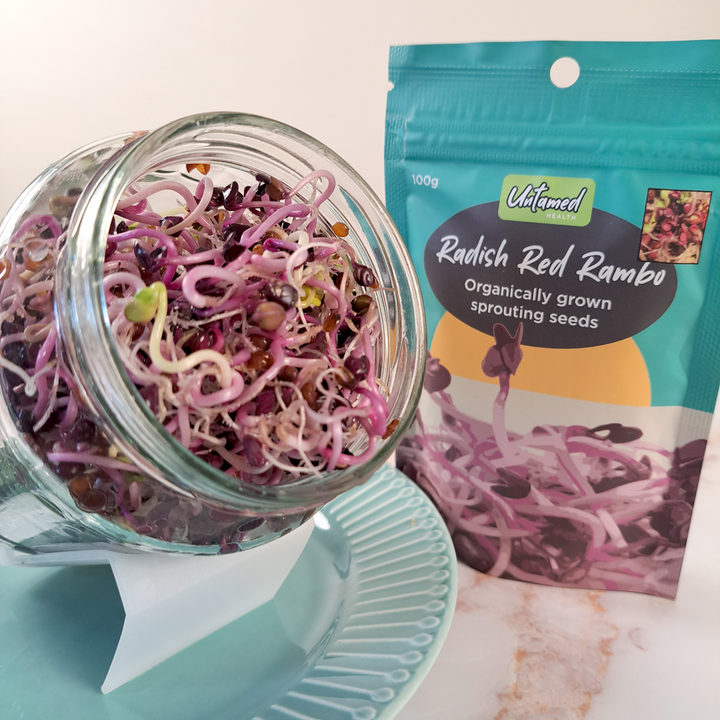 Radish Red Rambo Sprouting Seeds