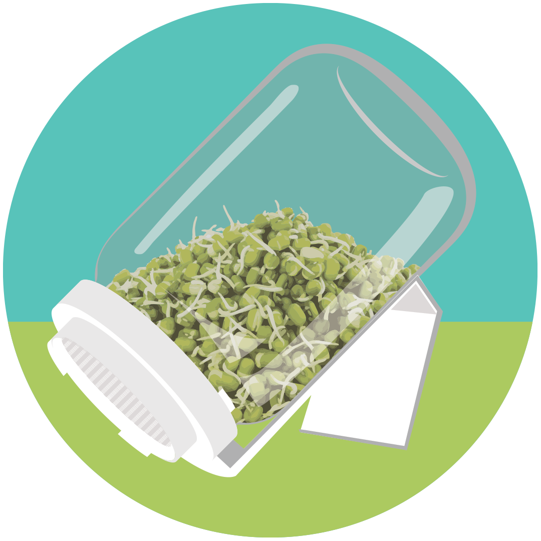 Popular Sprout Kit with FREE JAR