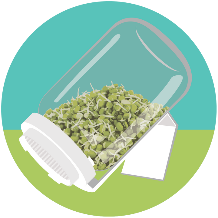 Popular Sprout Kit with FREE JAR